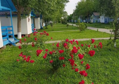 campoeuroclub cazare casute in delta dunarii