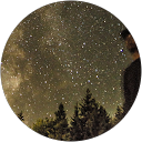 Dorneanu Lucian profile picture