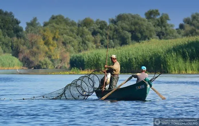 Pescari într-o barcă tradițională pe un canal din Delta Dunării, în timpul unei partide de pescuit